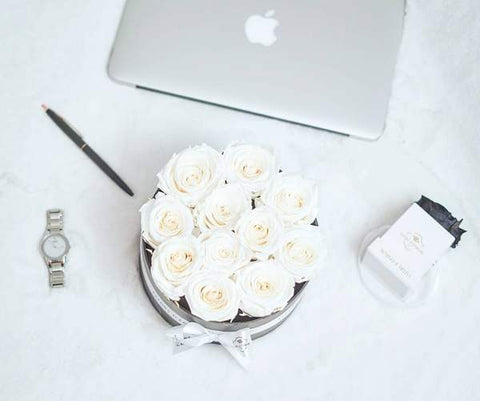 Home / Office Decor