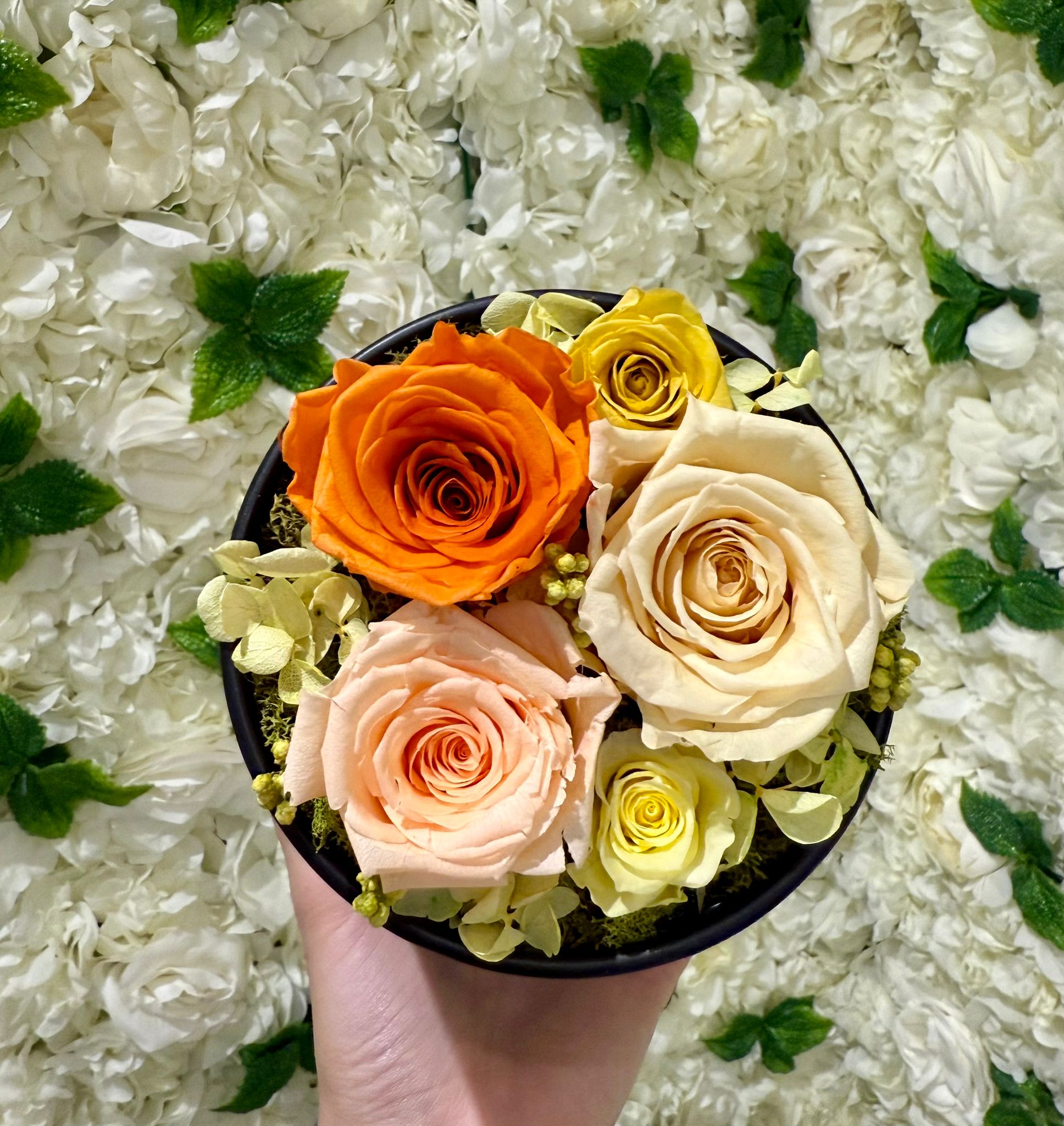 XS Round Fairytale Garden