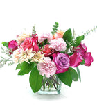 Sorbet Slush in Vase - Fresh Flowers