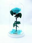 Enchanted Rose in Glass Dome