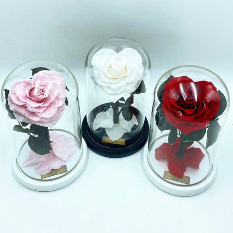 Medium Enchanted Glass Dome - Heart Rose