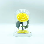 Medium Enchanted Glass Dome - Heart Rose