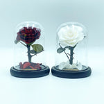 Small Enchanted Glass Dome