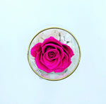 One Love in Round Glass Vase