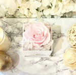Sweet Deluxe Rose