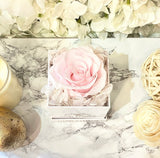 Sweet Deluxe Rose