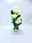 Eternity 3-in-1 Heart Rose in Enchanted Glass Dome