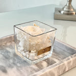 One Love in Square Glass Vase