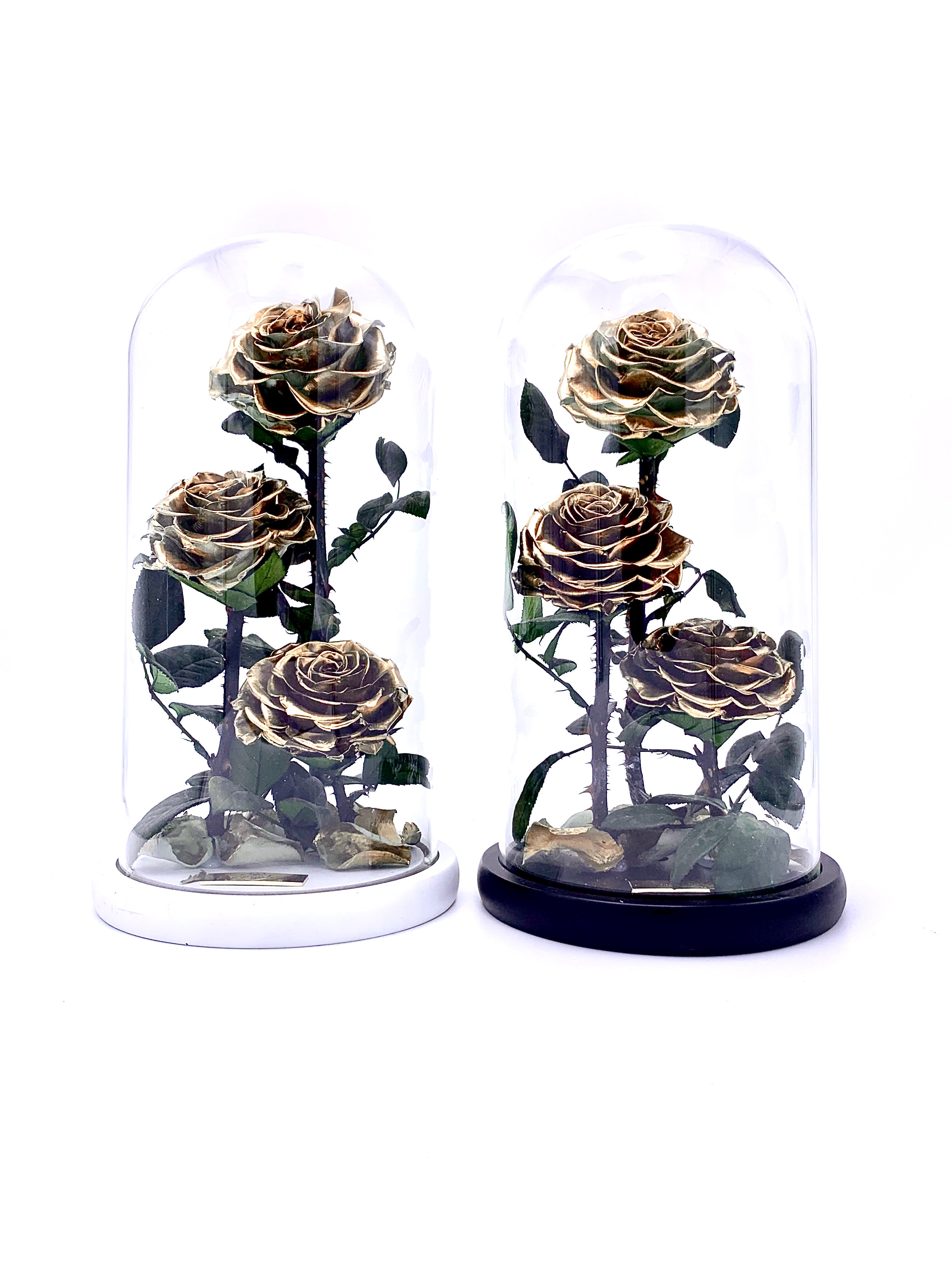 Eternity 3-in-1 Rose in Enchanted Glass Dome