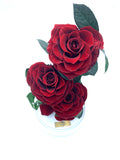 Eternity 3-in-1 Heart Rose in Enchanted Glass Dome