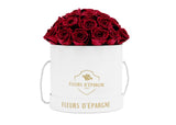 Prestige Rose Bucket
