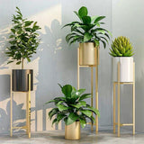 Set of 3 gold stand planters