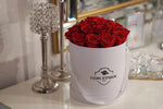 Romance Red in Classic Rose Bucket