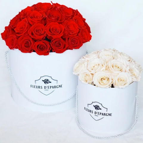Superdome in Prestige Rose Bucket