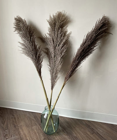 Pampas Grass - Wilde