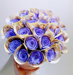 Money Rose Bucket