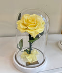 Medium Enchanted Glass Dome