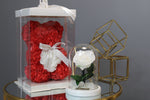 Baby Bear and Glass Rose Dome Combo