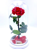 Enchanted Rose in Glass Dome