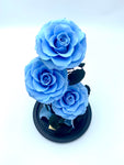 Eternity 3-in-1 Rose in Enchanted Glass Dome