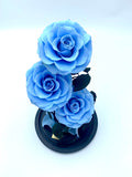 Eternity 3-in-1 Rose in Enchanted Glass Dome